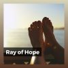Download track Celebration Of Reflection