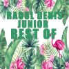 Download track Souvenirs D'enfance