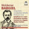 Download track Symphony In C Major: II Andante Con Moto