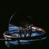 Download track Galopera