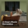 Download track To Help Your Dog Relax