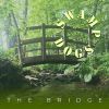 Download track Swamp Dog