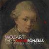 Download track Violin Sonata No. 16 In B-Flat Major, K. 31: IIc. Var. 2