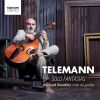 Download track 05. Fantasia In D Major, TWV 40 _ 27 _ III. Vivace