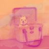 Download track Background For Relaxing Your Dog