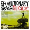 Download track Why Did The Chicken Cross My Mind