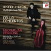 Download track Concerto For Cello And Orchestra No. 1 In C Major (Hob. VIIb: 1) - 3. Finale. Allegro Molto
