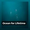 Download track Beautiful Sea Sounds