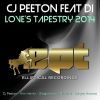 Download track Loves Tapestry (Cjs 2014 Mix)