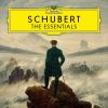 Download track Schubert: Symphony No. 8 In B Minor, D. 759 