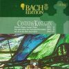 Download track Weinen, Klagen, Sorgen, Zagen BWV 12 - I Sinfonia
