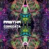 Download track Pantha (Merlin's Apprentice Remix)