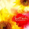 Download track Just The Two Of Us