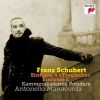 Download track Symphony No. 2 In B-Flat Major, D. 125: IV. Presto Vivace