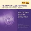 Download track Variations On A Theme By Haydn, Op. 56a Var. 1, Poco Più Animato