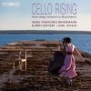 Download track Cello Sonata In D Major, TWV 41: D6: III. Largo