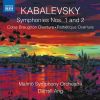 Download track Symphony No. 2 In C Minor, Op. 19- II. Andante Non Troppo