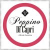 Download track Peppino