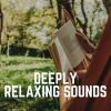 Download track Aesthetically Relaxing