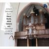 Download track In Dich Hab Ich Gehoffet, Herr, BWV 712