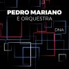 Download track Casa No Campo