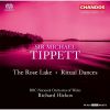 Download track 13. Ritual Dances - Prelude
