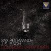 Download track Goldberg Variationen, BWV 988: Variatio 6 - Canone Alla Seconda