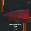 Download track Regal Rain, Pt. 24