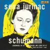 Download track Liederkreis, Op. 39: No. 1, In Der Fremde