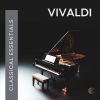 Download track Vivaldi- Cello Sonata In B-Flat Major, RV 46- II. Allegro (Arr. D. Russell)