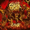Download track Dogma