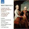 Download track 11. Kantate Auf Die Erhebung Leopold II. Zur Kaiserwuürde WoO 88 - Recitative: Wie Bebt Mein Herz Vor Wonne