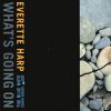Download track What's Going On