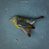Download track The Middle