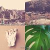 Download track Trio Jazz Soundtrack For Morning Routines