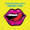 Download track I Want You (Extended Mix)