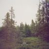 Download track Rest