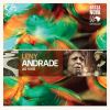 Download track Dindi (Live)