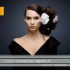 Download track Bassoon Concerto In A Minor, RV 498: II. Larghetto