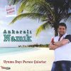 Download track Dargınım