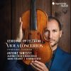 Download track 9. Viola Concerto In G Major TWV 51: G9 - II. Allegro