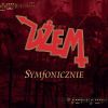 Download track Wehikuł Czasu - To Byłby Cud