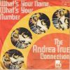 Download track What's Your Name, What's Your Number (Short Version)