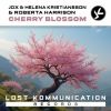 Download track Cherry Blossom