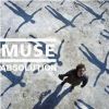 Download track Sing For Absolution (Instrumental)