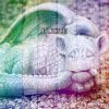 Download track Insomniacs Remedy