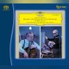 Download track Finale (Allegro Moderato) [Cello Concerto In B Minor, Op. 104]
