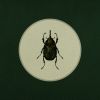Download track Front Toward Enemy