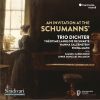 Download track Schumann 5 Stücke Im Volkston, Op. 102 No. 1, Mit Humor