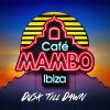 Download track Precious Cargo [Vocal Mix]